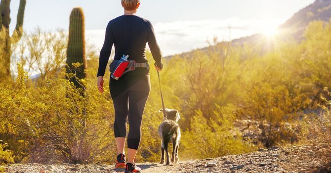 Finding Relief Through Anxiety Therapy in Dallas